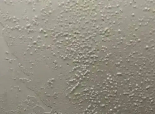 粉末消泡劑應用